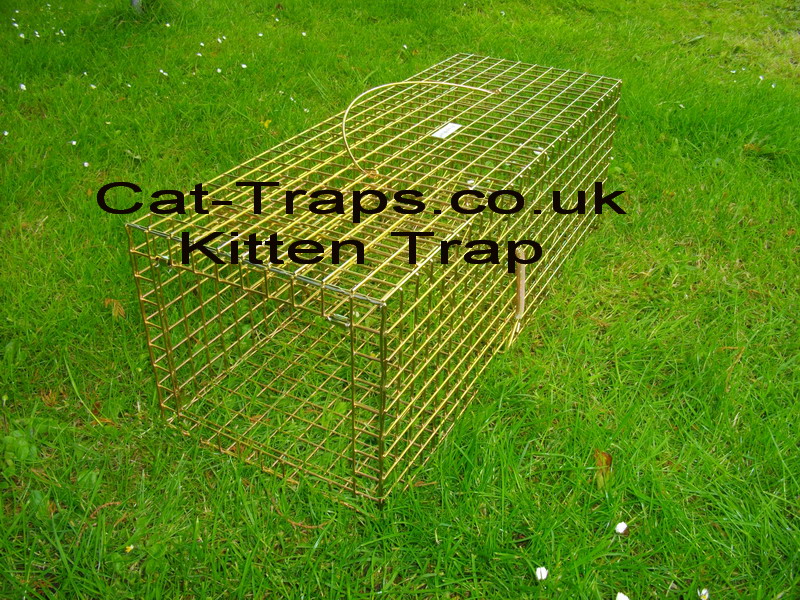 27"x10"x9" ideal for small feral's or kittens, very sensitive treadle plate