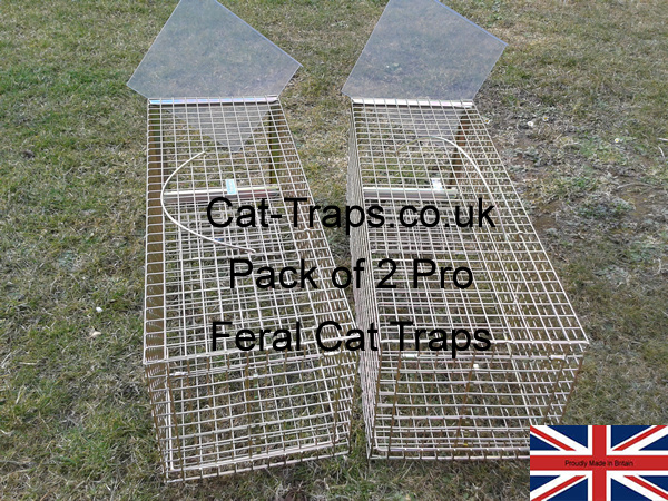 two pro gold feral cat traps